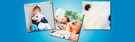Calma, regenera y mejora tu salud con la mascota Photonio
