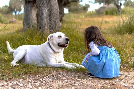 Nuestras mascotas hacen que aumente la hormona del amor