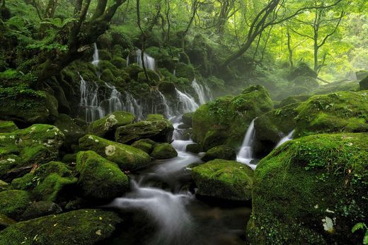 Un lujo a tu alcance, cosmetica natural bio certificada