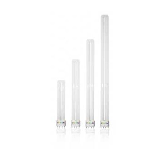 Fluorescente Compacto