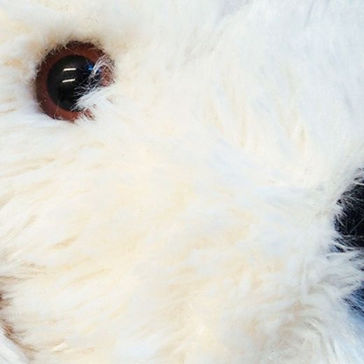 Peluche Photonio