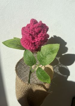 Rosa de Crochet Fúcsia